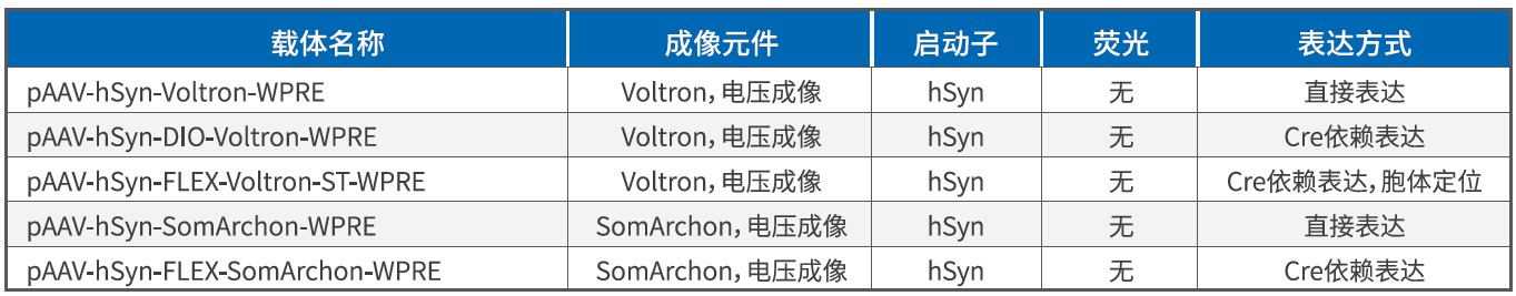 bti体育·(中国)官方网站APP下载