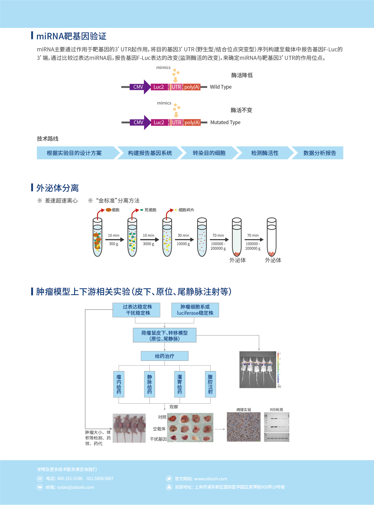 bti体育·(中国)官方网站APP下载