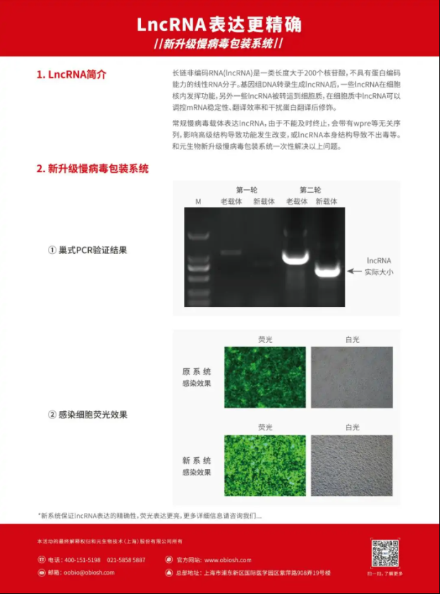 bti体育·(中国)官方网站APP下载