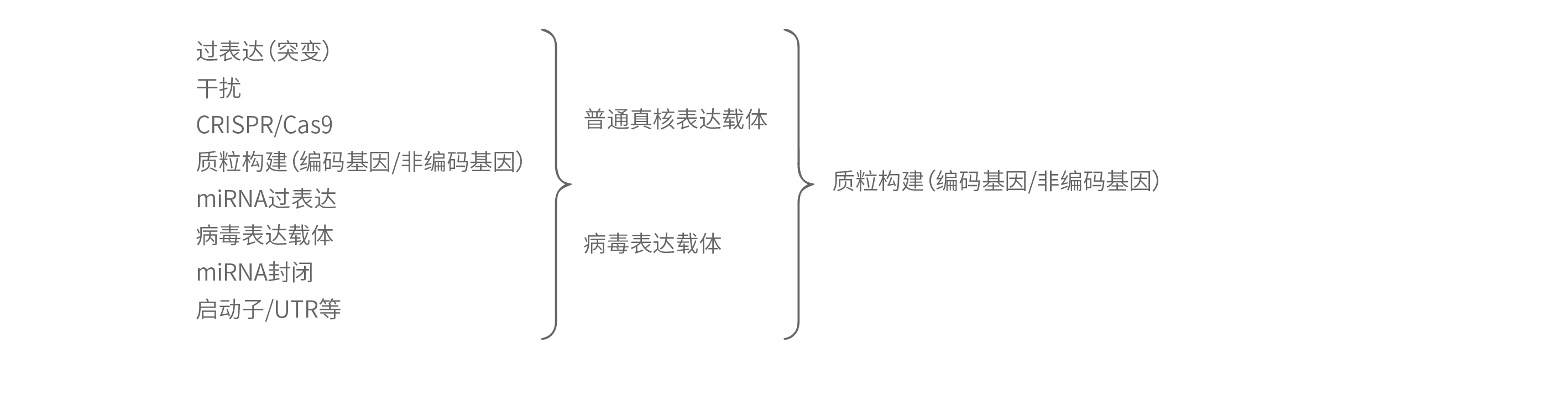 bti体育·(中国)官方网站APP下载