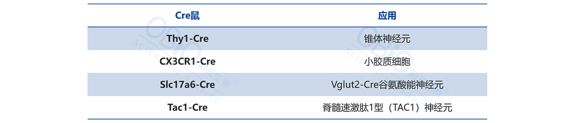 bti体育·(中国)官方网站APP下载