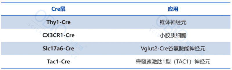 bti体育·(中国)官方网站APP下载