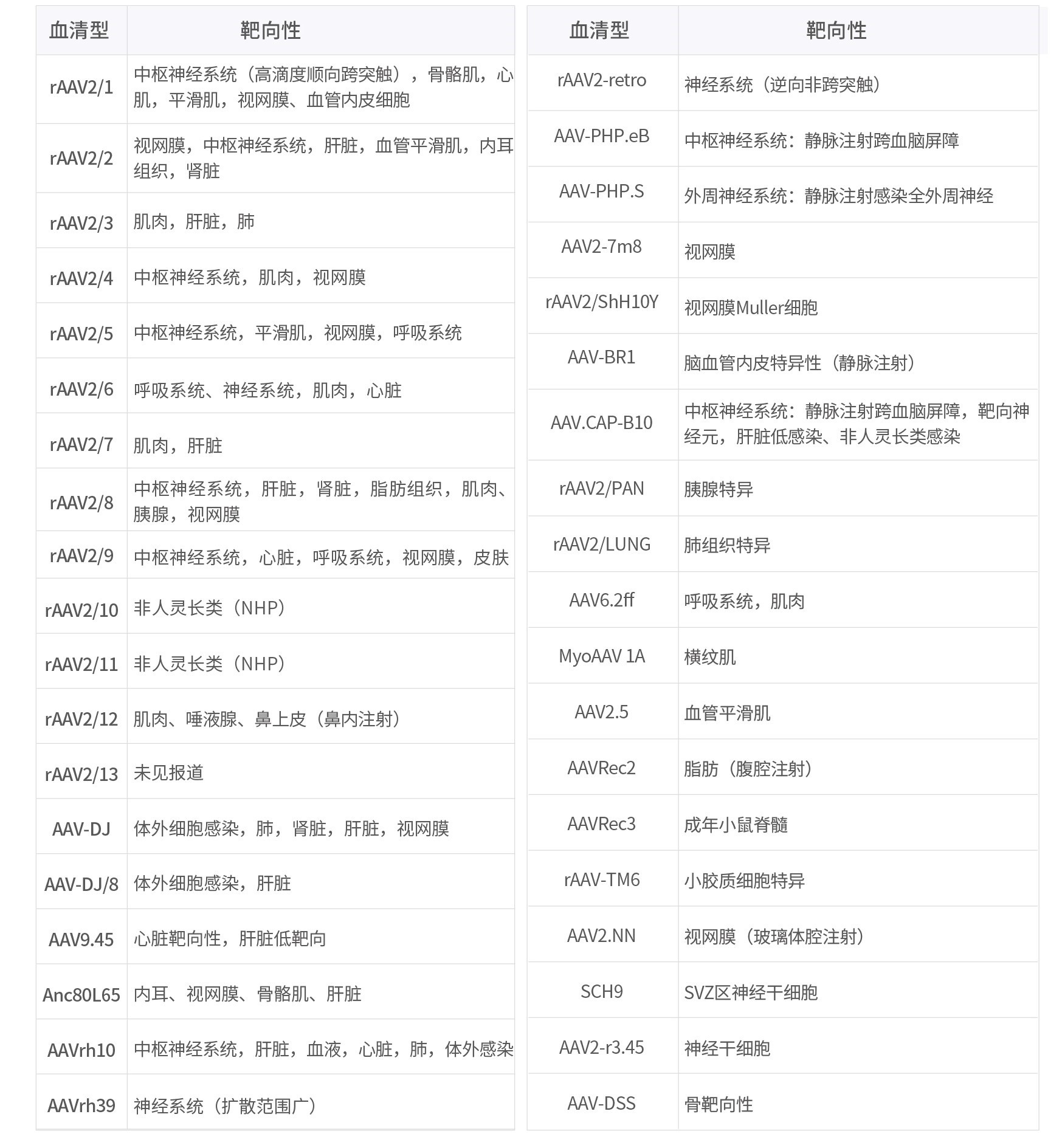 bti体育·(中国)官方网站APP下载