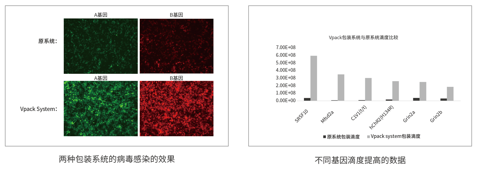 bti体育·(中国)官方网站APP下载