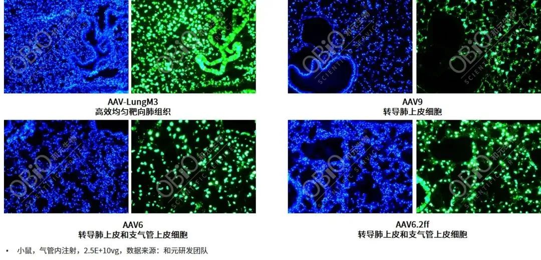 bti体育·(中国)官方网站APP下载