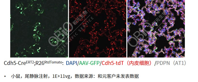 bti体育·(中国)官方网站APP下载