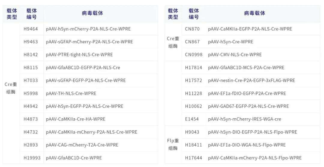 bti体育·(中国)官方网站APP下载