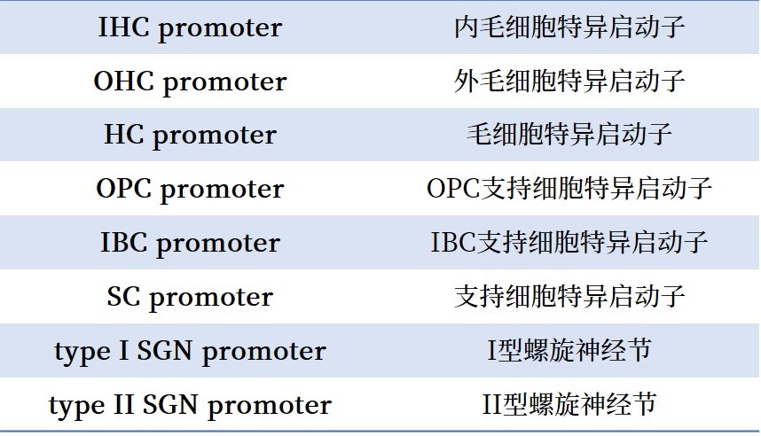 bti体育·(中国)官方网站APP下载