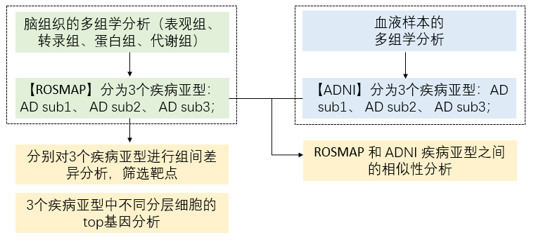 bti体育·(中国)官方网站APP下载