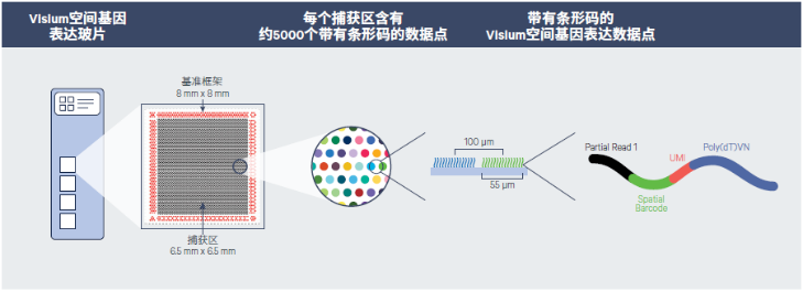 bti体育·(中国)官方网站APP下载